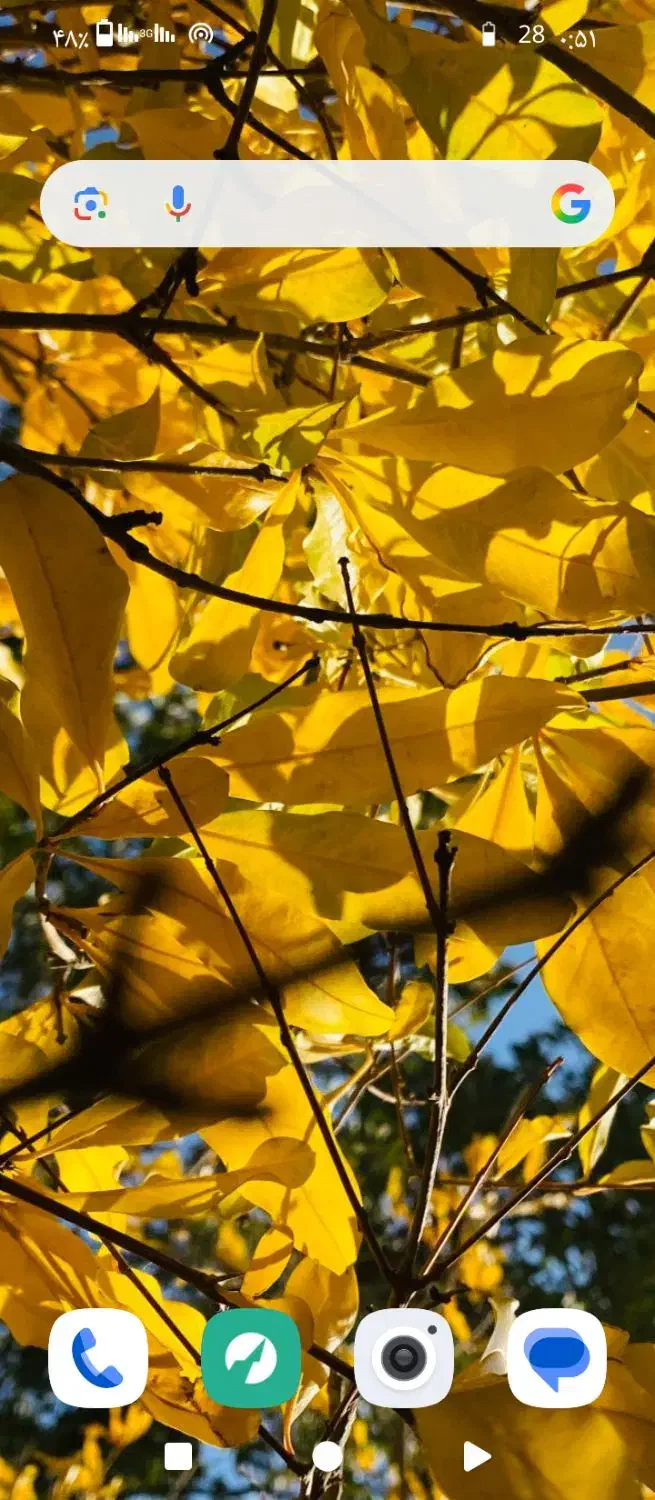 پارتنر|کوهنوردی و کمپینگ|یاسوج, |دیوار