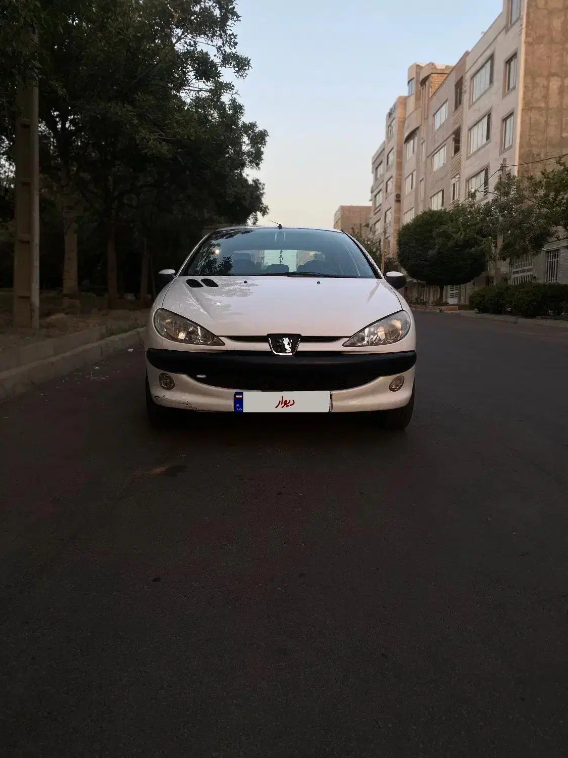 206sd. V8|خودرو سواری و وانت|کرج, شهرک ظفر|دیوار