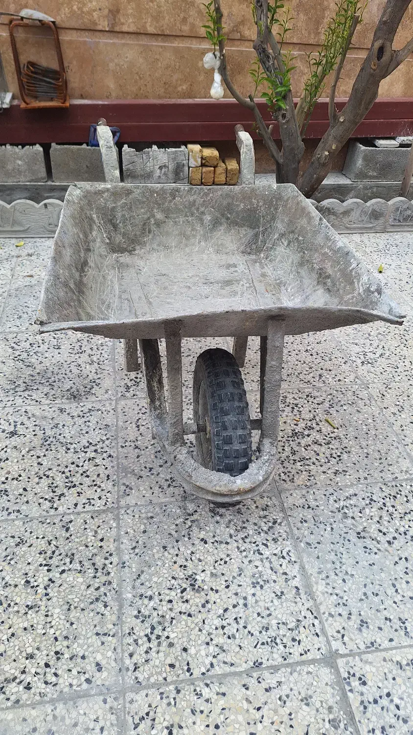 فرغان|حراج|شیراز, انجیر|دیوار