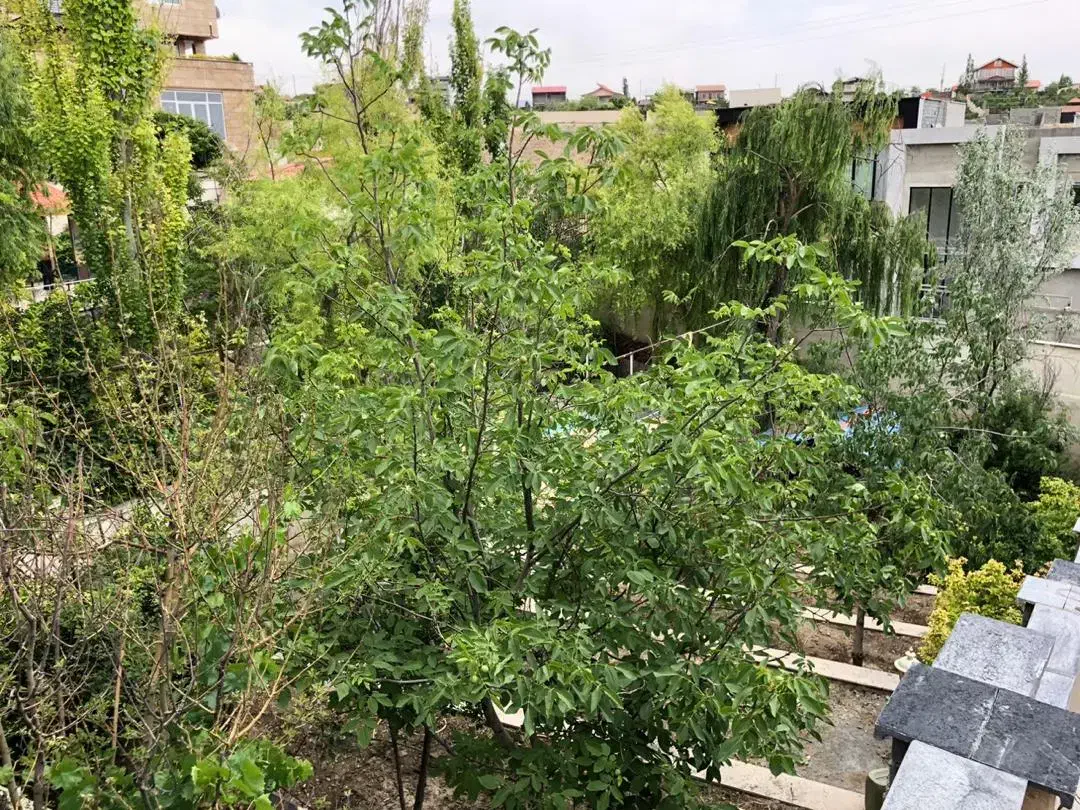 ویلاباغ۶۵۰زمین۲۵۰بنافرصت طلایی برای خرید*مهراباد*|فروش خانه و ویلا|رودهن, |دیوار