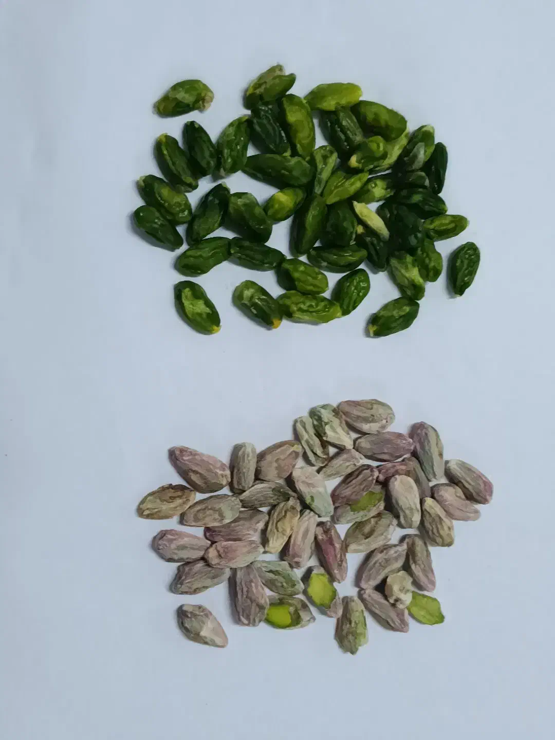 مغز سبز فروش فوری|خوردنی و آشامیدنی|مه ولات, |دیوار