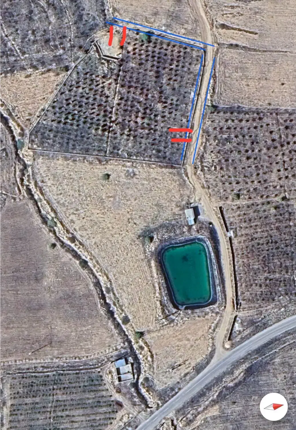 باغ زیبا میوه و سیفی جات کیاسر|فروش زمین و ملک کلنگی|کیاسر, |دیوار