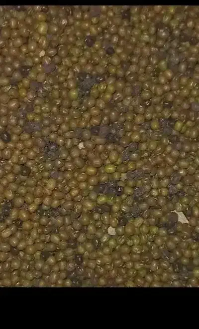 ماش ارتشی ولوبیا ریزه آشی|خوردنی و آشامیدنی|دره شهر, |دیوار