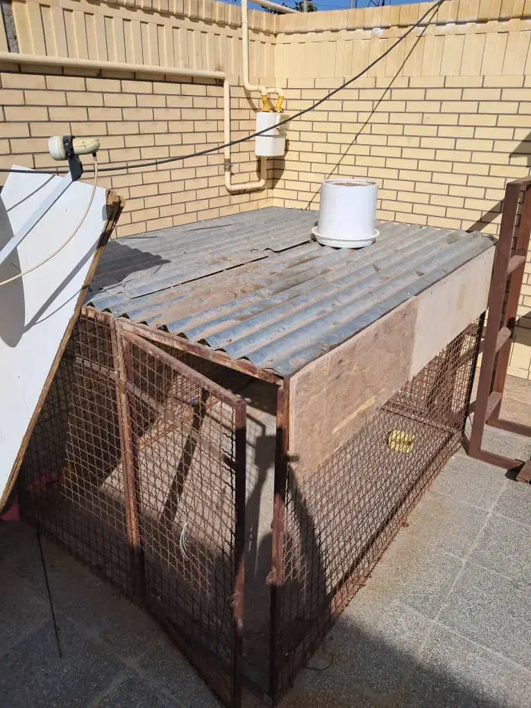 قفس پرنده یاسگ|لوازم جانبی حیوانات|رفسنجان, |دیوار