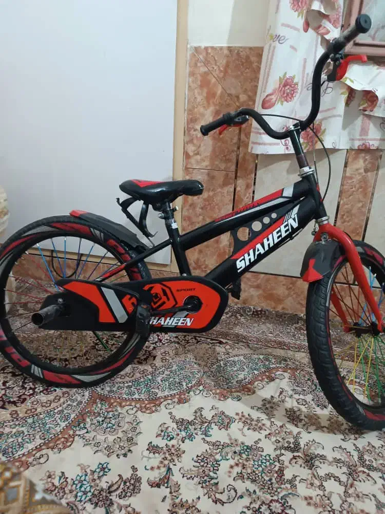 دوچرخه تمیز سالم فقط فقط یک تیوب میخواد|دوچرخه، اسکیت، اسکوتر|پشتکوه (سیستان و بلوچستان), |دیوار