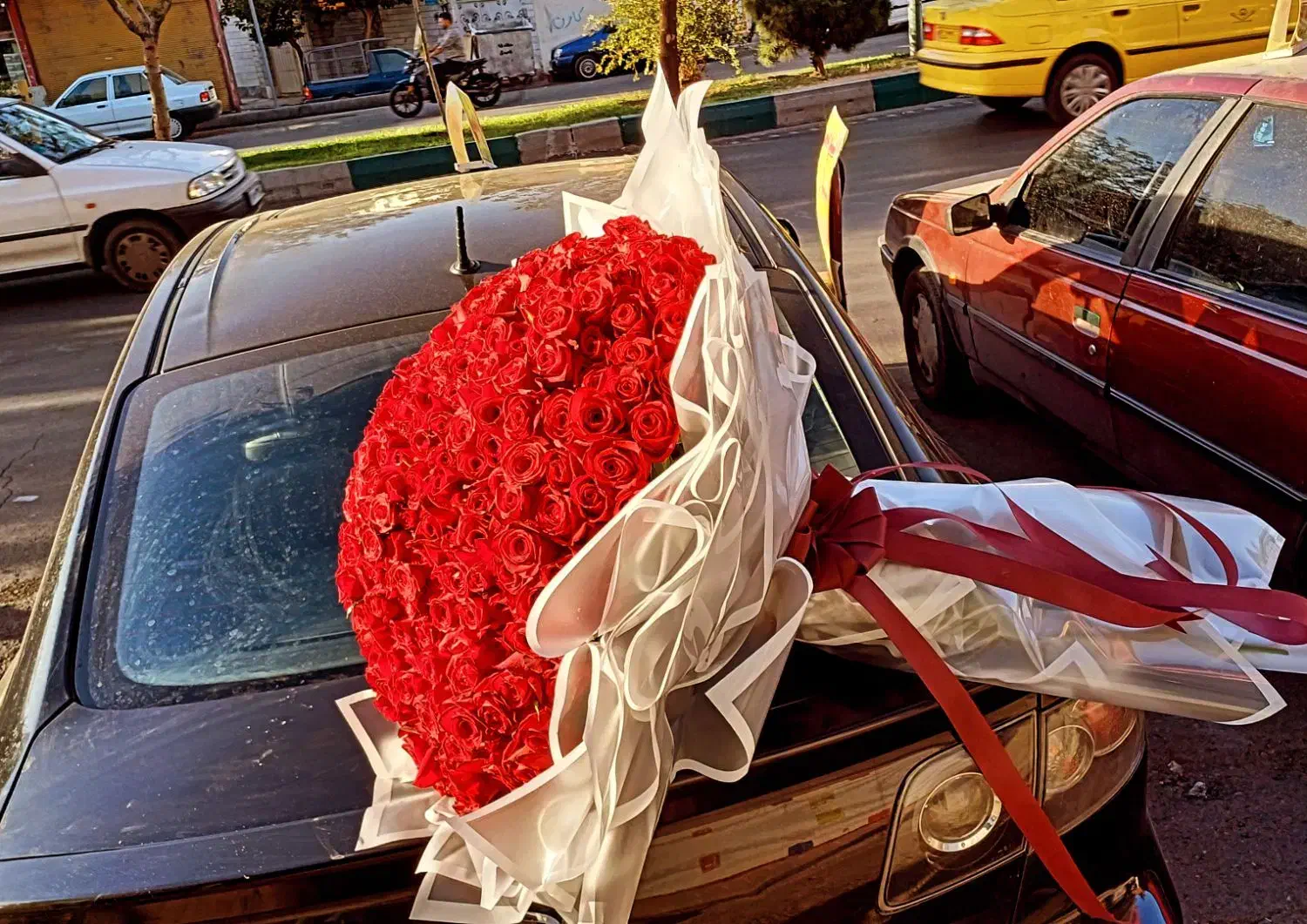 شاخه گل رز هلندی انواع دسته گل|گل و گیاه طبیعی|تهران, والفجر (افسریه)|دیوار