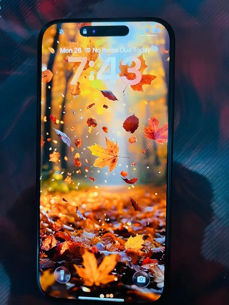 آیفون ۱۶ پرومکس|موبایل|بم, |دیوار