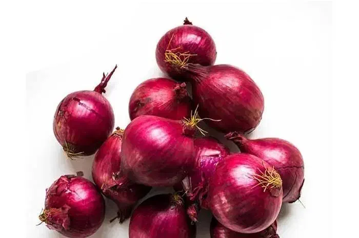 پیاز ریز و متوسط گاتی|خوردنی و آشامیدنی|نقده, |دیوار