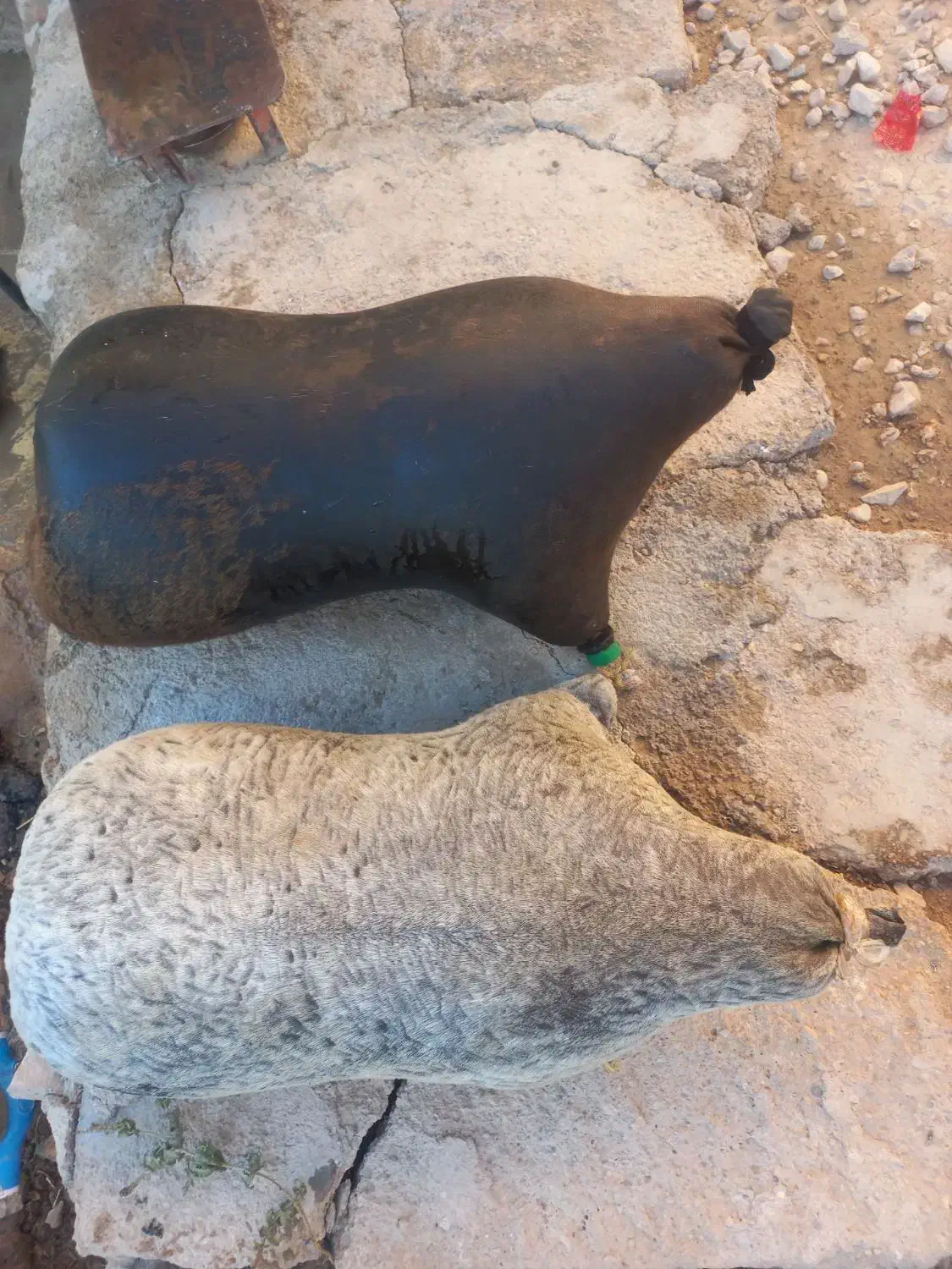 هیزه برای روغن حیوانی|صنایع دستی و سایر لوازم تزئینی|کوهدشت, |دیوار