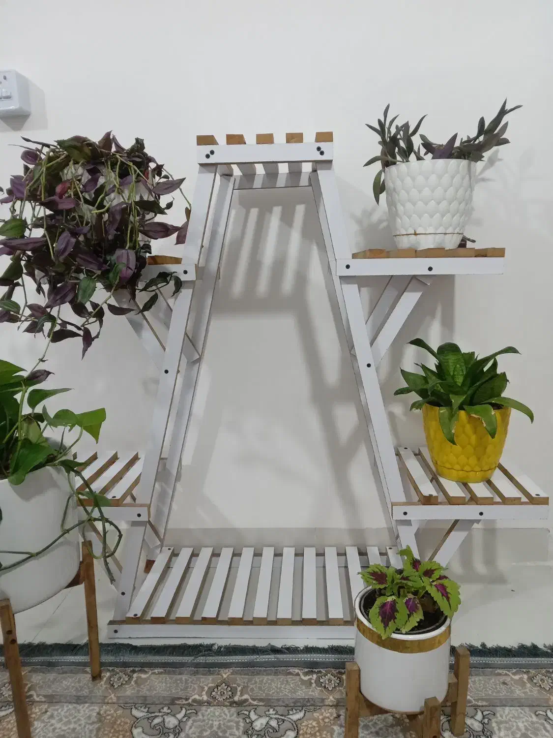 استندگل|کتابخانه، شلف، قفسه‌های دیواری|کرمانشاه, |دیوار