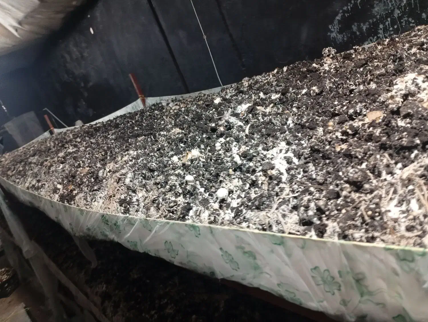 فروش وسایل قارچی|ماشین‌آلات صنعتی|لردگان, |دیوار