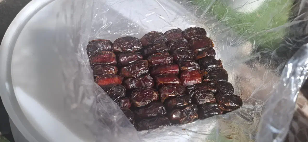 خرمای کبکاب دشتستان.جم|خوردنی و آشامیدنی|جم, |دیوار