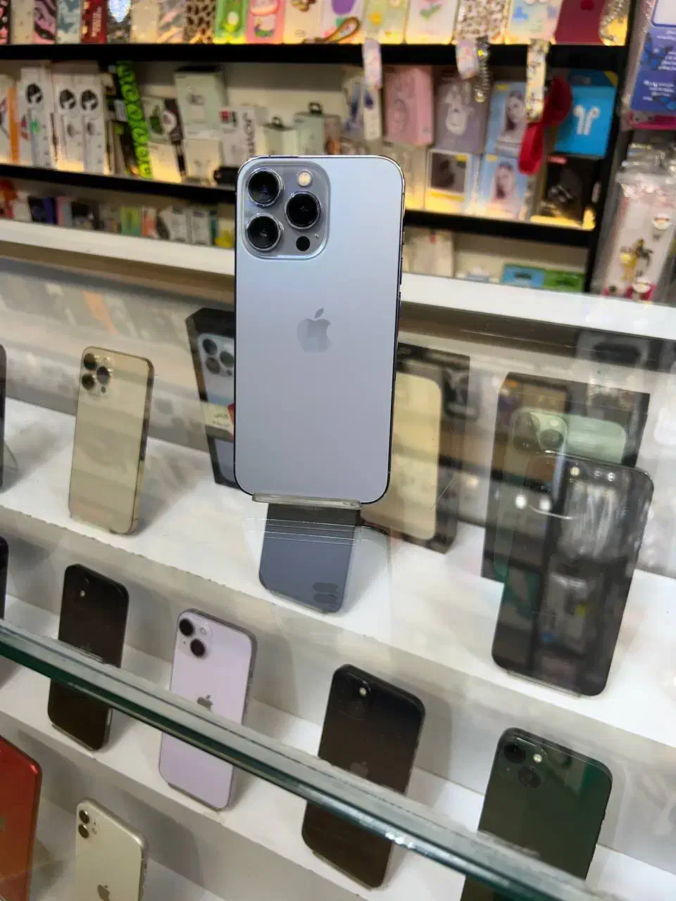 13proدرحدآکبند|موبایل|قم, چهل درخت‎|دیوار