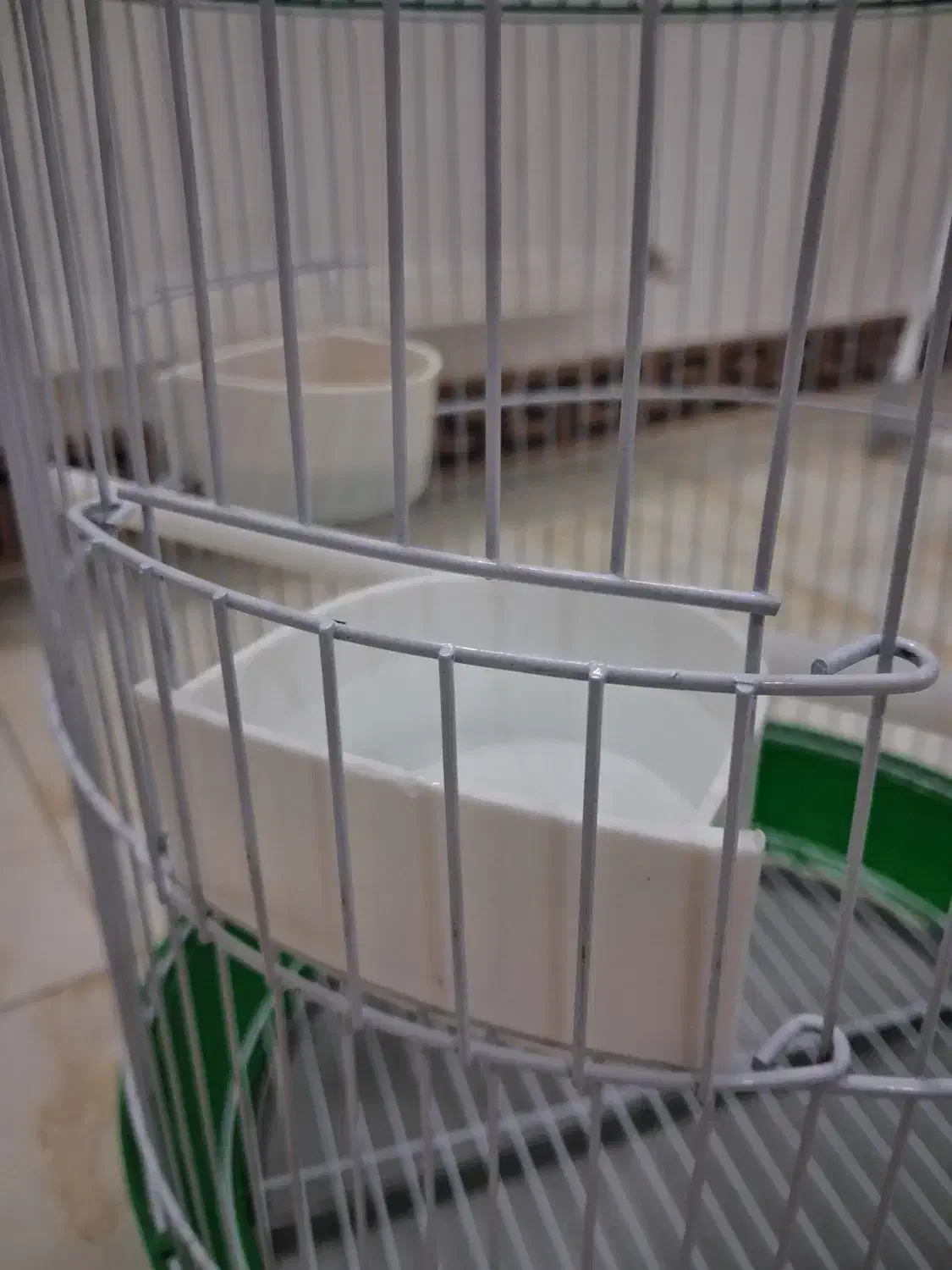قفس گرد سبز|لوازم جانبی حیوانات|فردیس, شهرک ناز|دیوار
