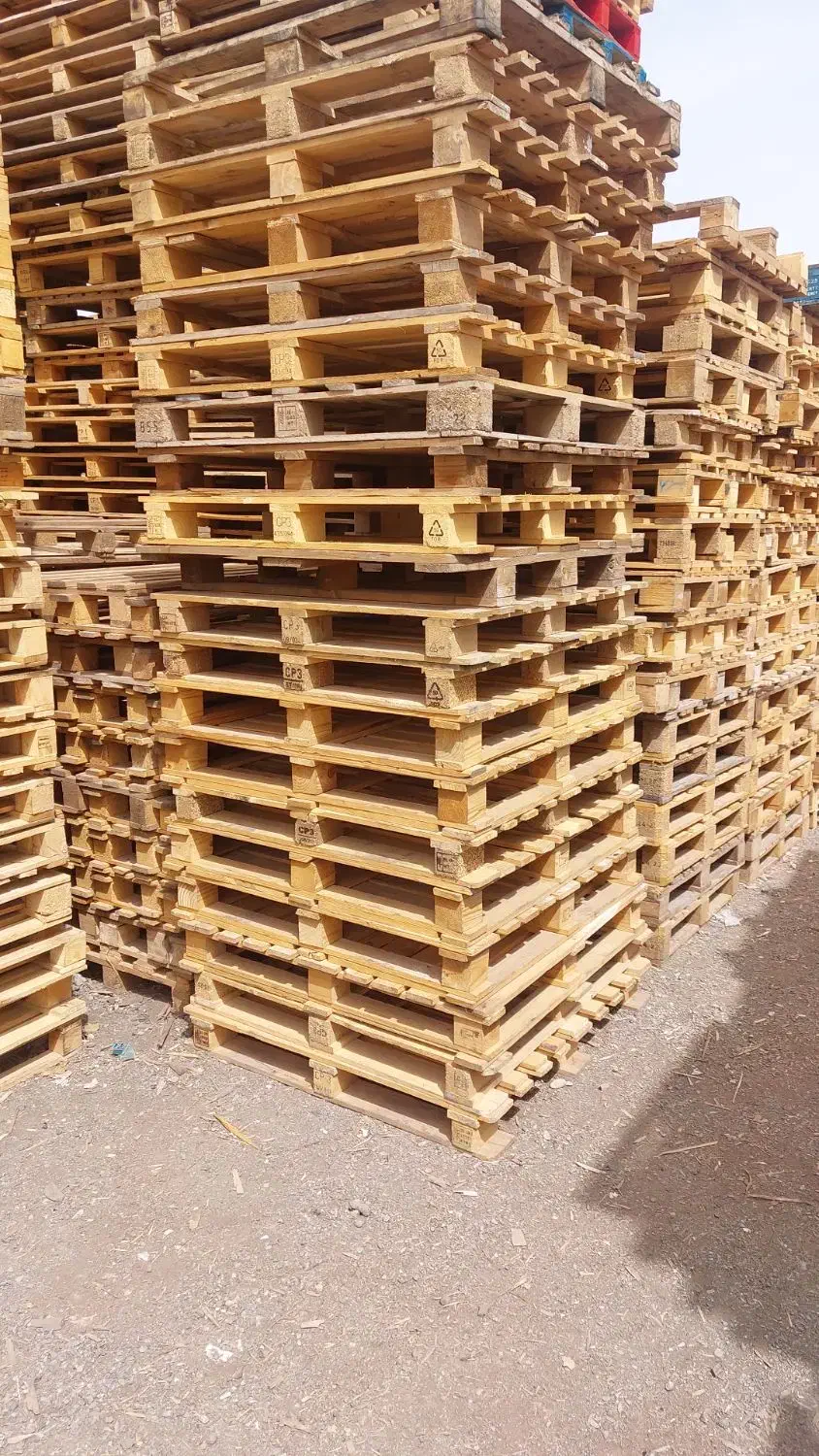 تولید و فروش پالت چوبی و پلاستیکی|عمدهفروشی|چهاردانگه (تهران), |دیوار