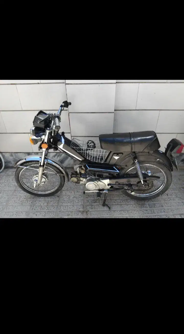 3عدد مرغ شاخدار سالم|حیوانات مزرعه|تربت‌حیدریه, باغ ملی|دیوار