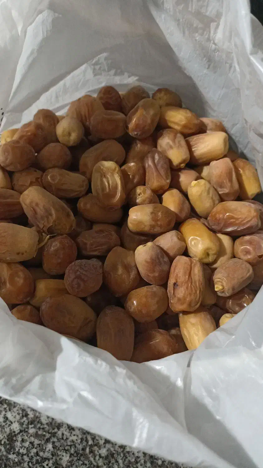 فروش قصب|خوردنی و آشامیدنی|جهرم, |دیوار