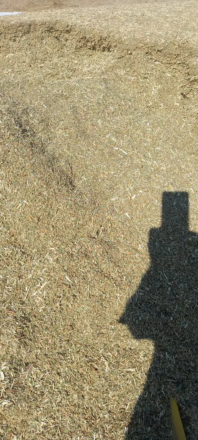 کاه لوبیا سبز|لوازم جانبی حیوانات|هشترود, |دیوار