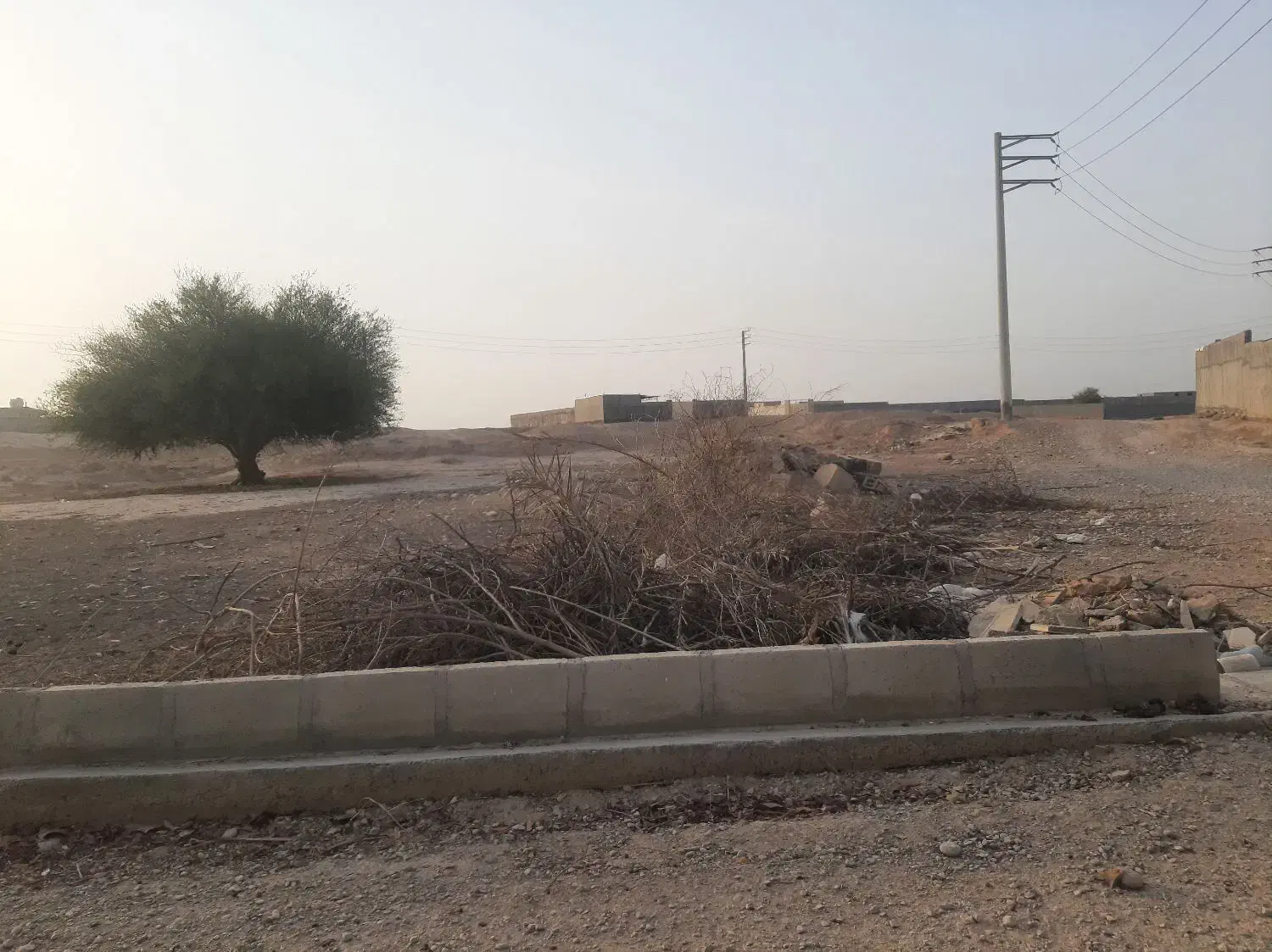 زمین دیلم|فروش زمین و ملک کلنگی|دیلم, |دیوار