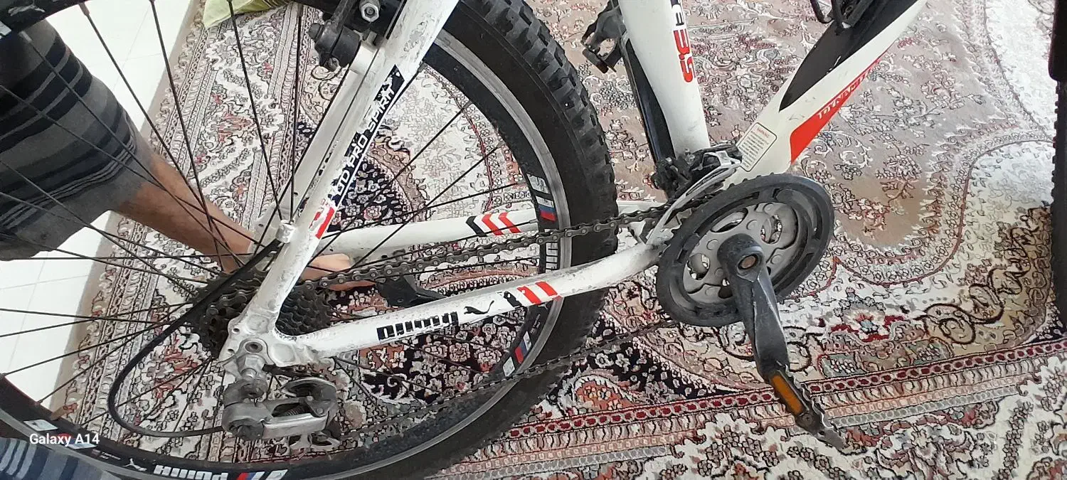 دوچرخه ۲۶|دوچرخه، اسکیت، اسکوتر|محمدشهر, محمدشهر|دیوار