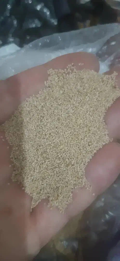 بذر مرغوب و گلچین شده|گل و گیاه طبیعی|کوهدشت, |دیوار