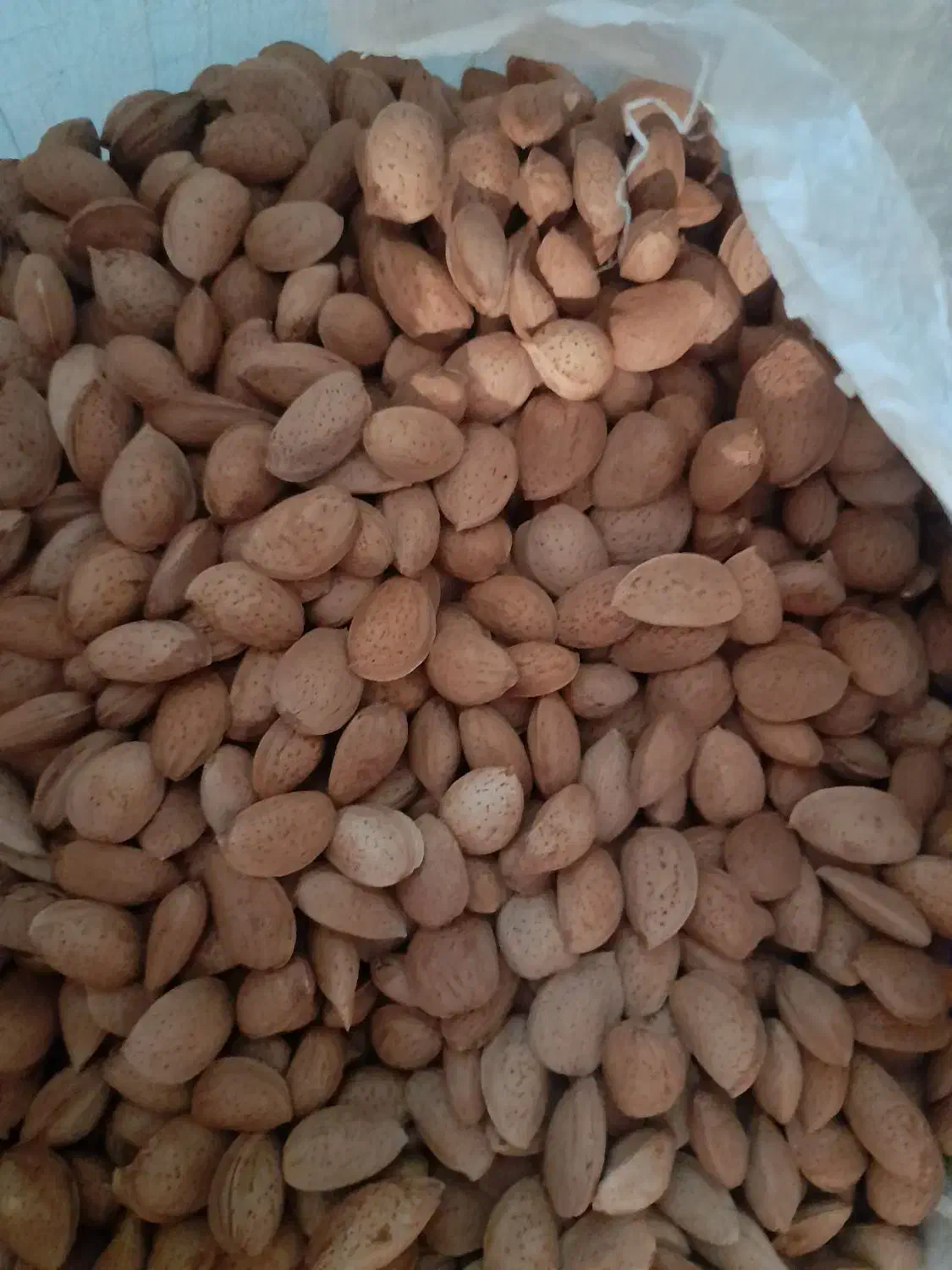 بادام|خوردنی و آشامیدنی|شیراز, اکبر آباد|دیوار