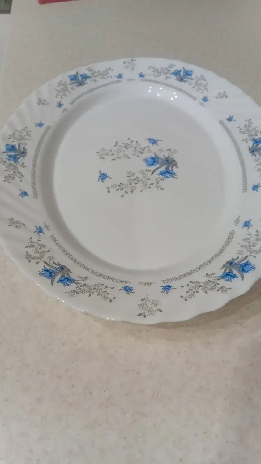 3 دست ارکوپال|ظروف سرو و پذیرایی|سمنان, |دیوار