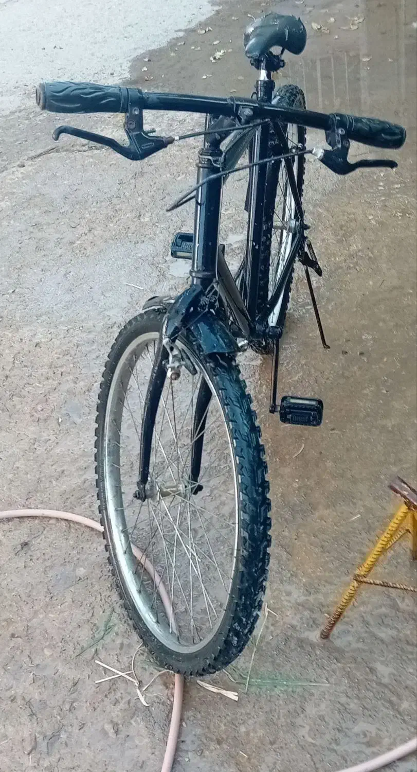 دوچرخه سالم آساک اصل|دوچرخه، اسکیت، اسکوتر|بجنورد, |دیوار