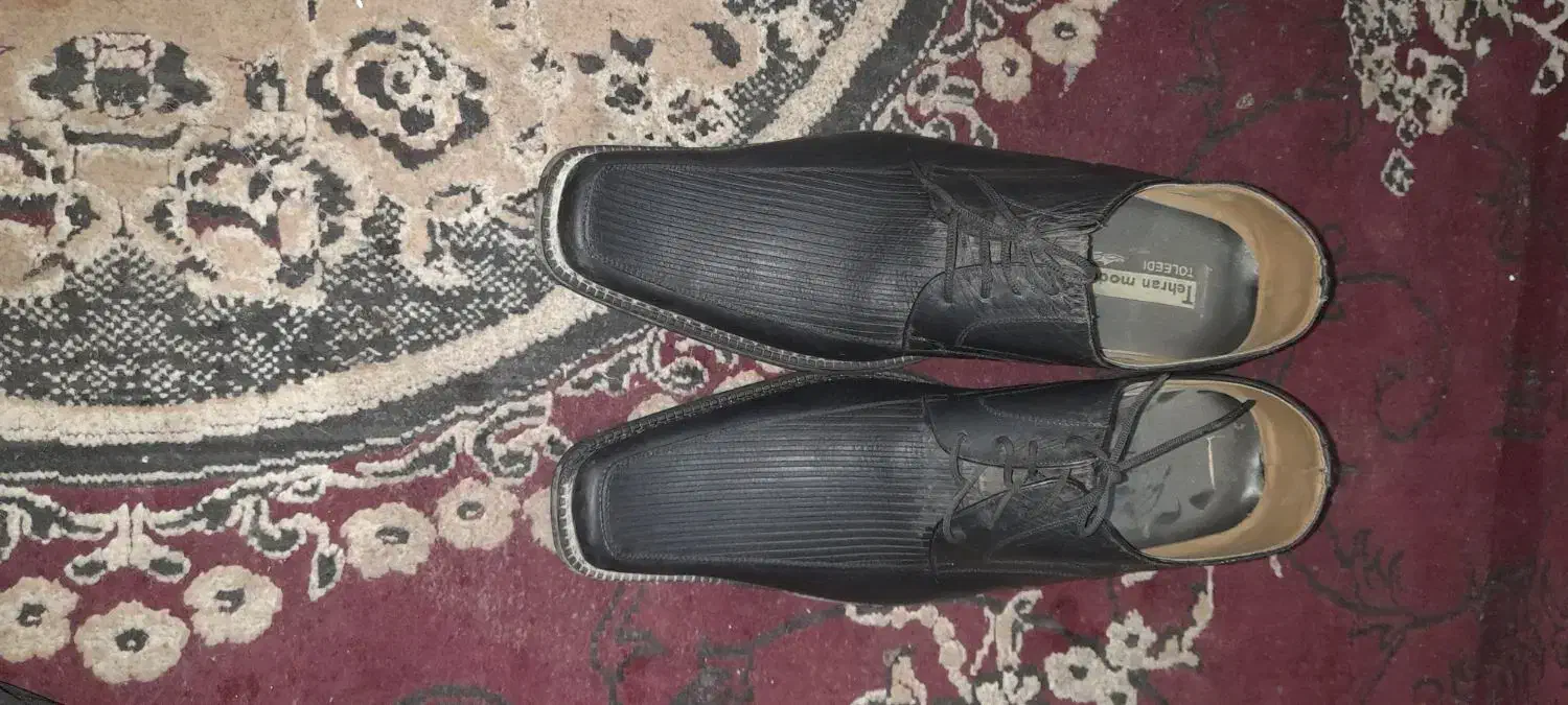 کفش مجلسی نو|کیف، کفش، کمربند|زابل, |دیوار