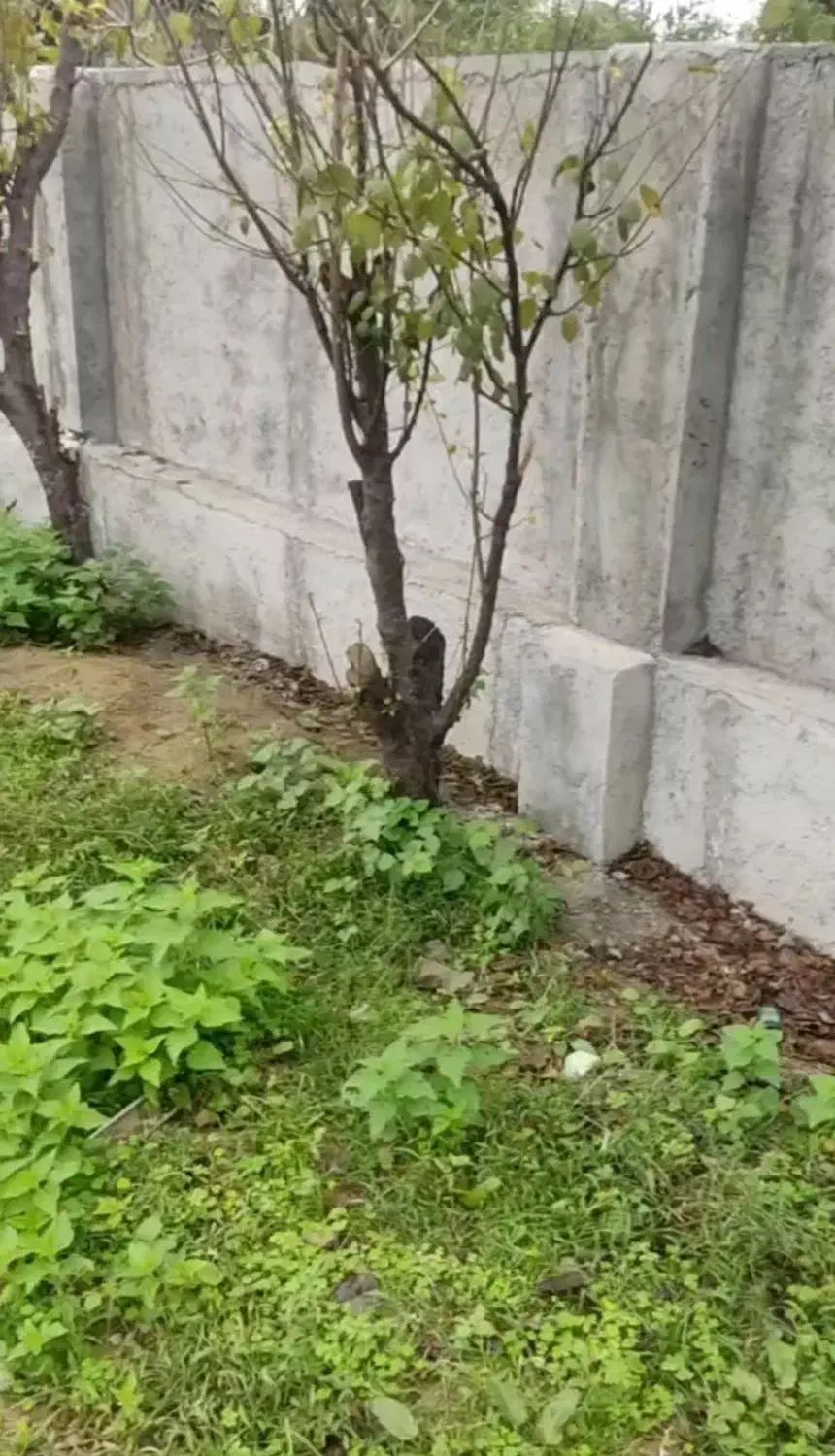 بنا بامناسب‌ترین قیمت‌|خدمات پیشه و مهارت|شیرگاه, |دیوار