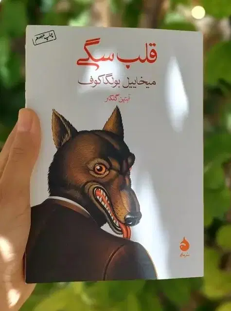 قلب سگی|کتاب و مجله ادبی|شیراز, فرهنگ شهر|دیوار
