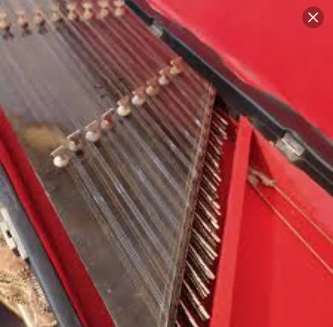 سنتور عتیقه|سازهای سنتی|دورود, |دیوار