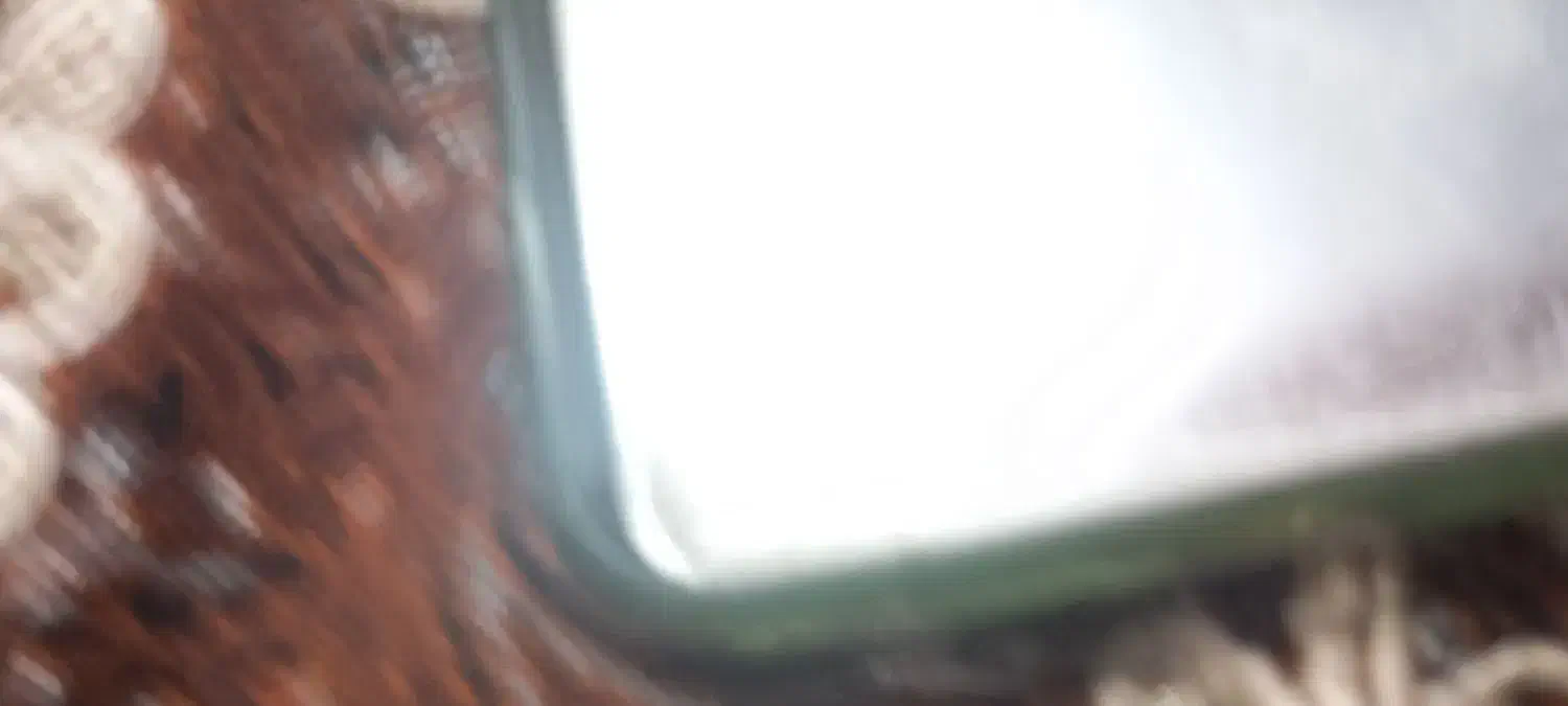 فروش لوازم کبابی|کافی‌شاپ و رستوران|بابلسر, |دیوار