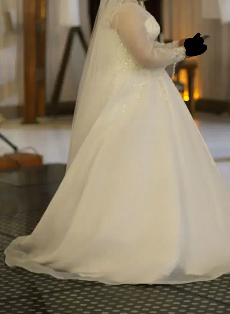 لباس عروس|لباس|ساری, |دیوار