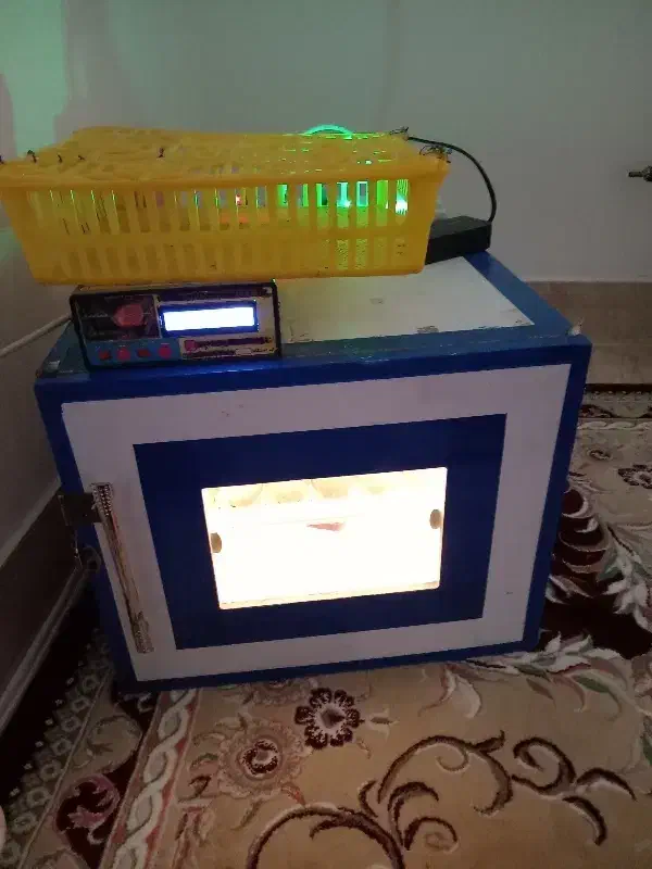 دستگاه جوجه کشی|لوازم جانبی حیوانات|نهاوند, |دیوار