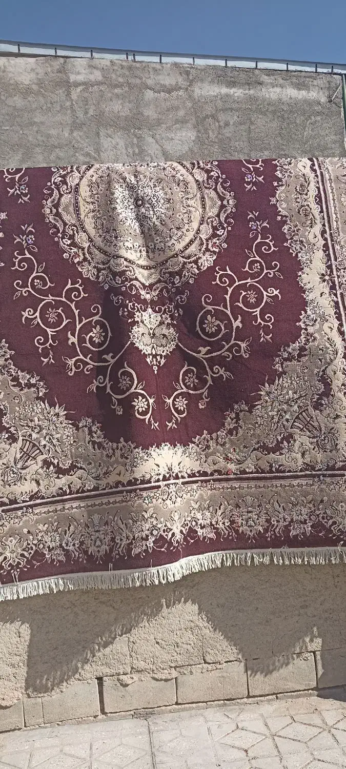 دو عدد فرش 12 متری|فرش|اشترینان, |دیوار