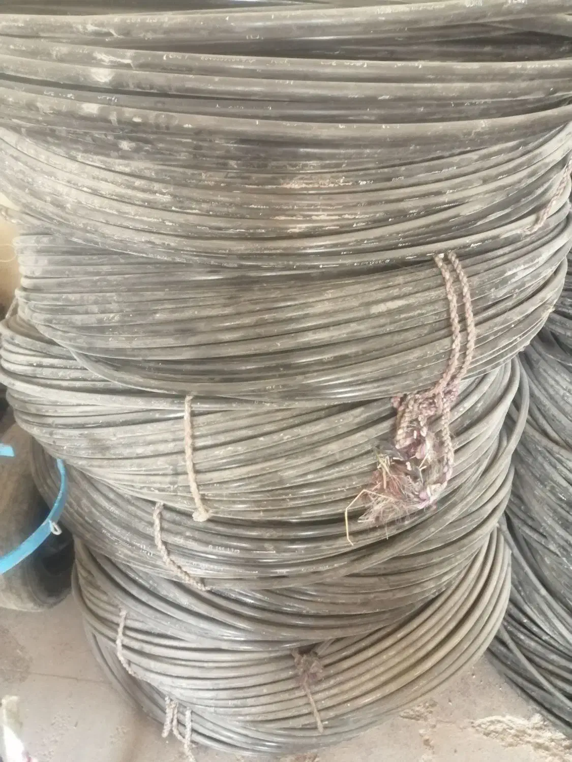 شلنگ آبیاری قطره ای|مصالح و تجهیزات ساختمان|مهاباد (آذربایجان غربی), |دیوار