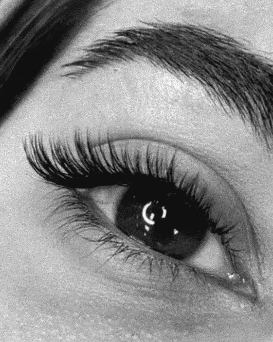 تخفیف ویژه برای اکستنشن  و لیفت و لمینت مژه و ابرو|خدمات آرایشگری و زیبایی|رشت, دیلمان|دیوار