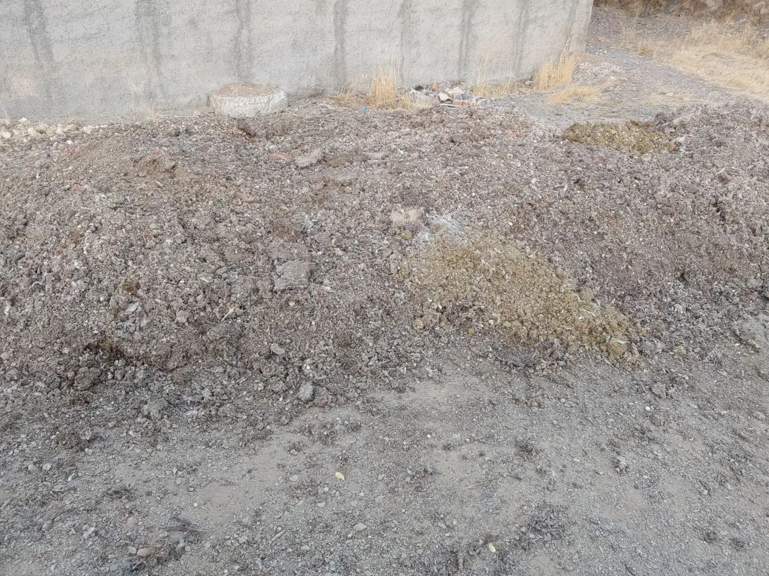 کود مرغی مرغداری تخم گذار|خدمات باغبانی و درختکاری|سنندج, |دیوار