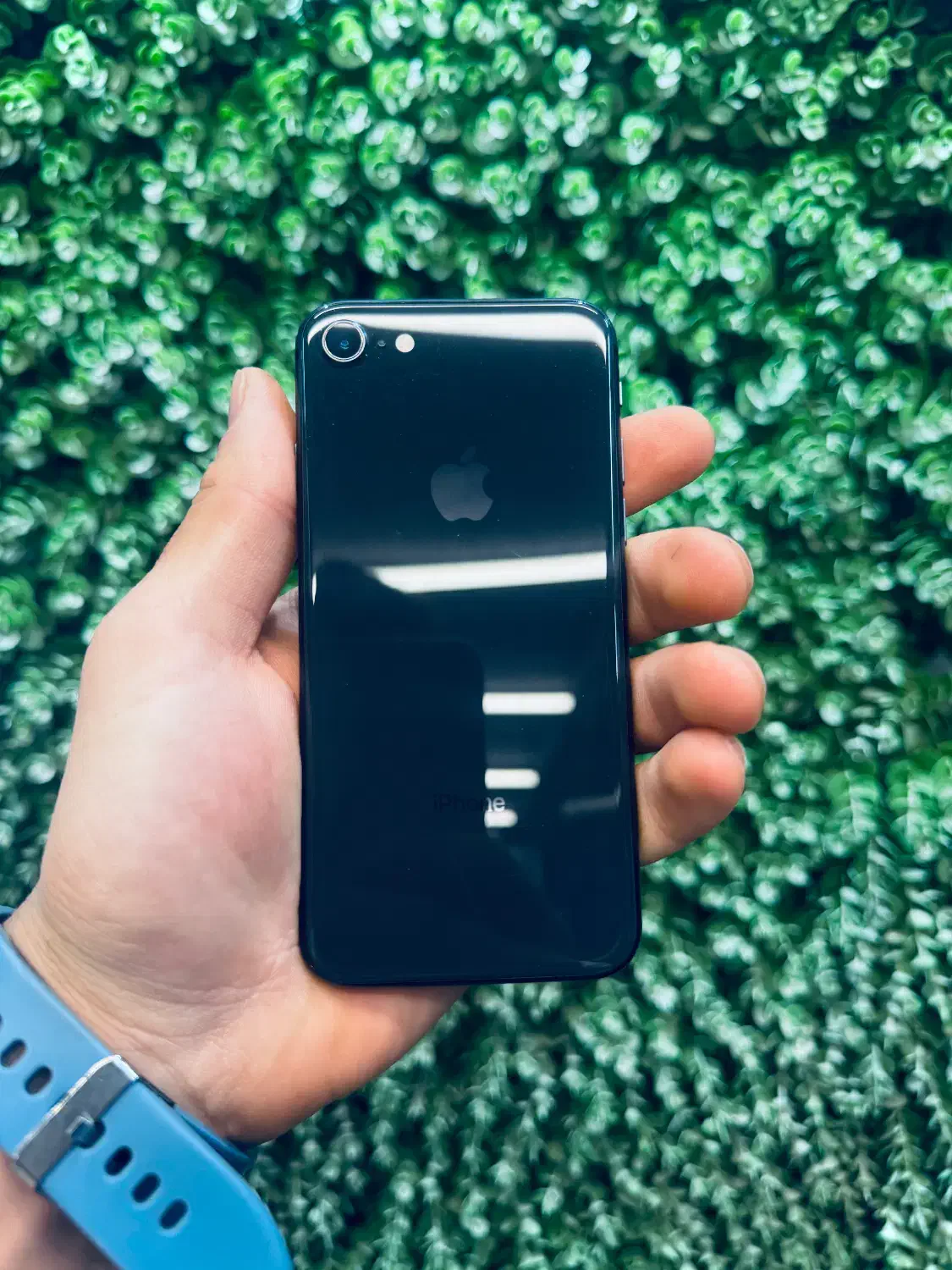 iPhone 8|موبایل|تهران, بوستان ولایت|دیوار