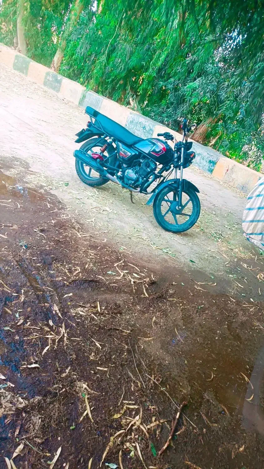 موتور بنلی کیوا 150|موتورسیکلت|ارزوئیه, |دیوار