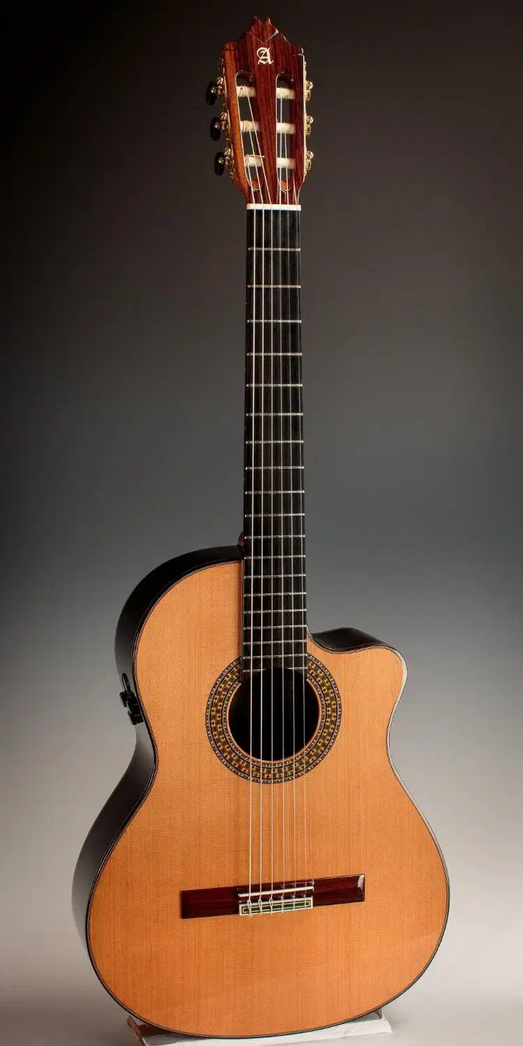 آموش گیتار پاپ و کلاسیک ( تضمینی )|خدمات آموزشی|تهران, تهرانپارس شرقی|دیوار