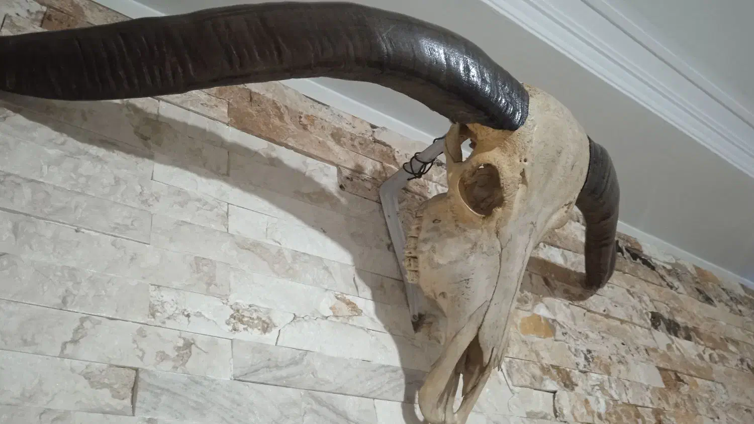 دیوار کوب گاو|مجسمه، تندیس، ماکت|تهران, آذری|دیوار