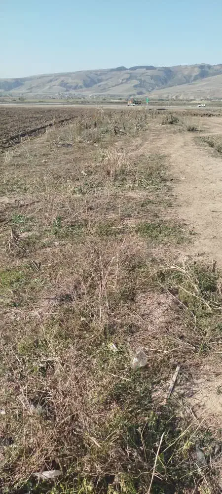 فروش مسکونی|فروش زمین و ملک کلنگی|صادق آباد, |دیوار