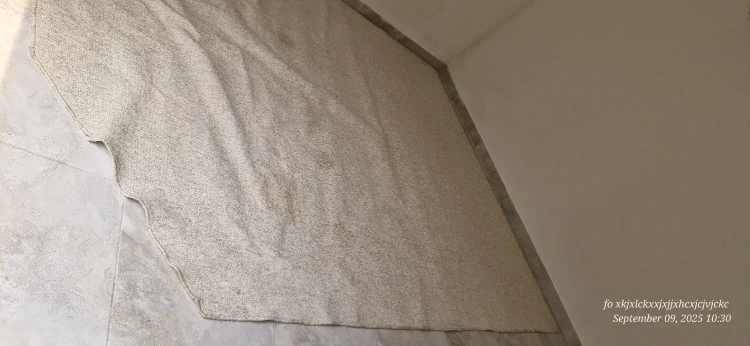 موکت ظریف مصور|موکت|کیش, |دیوار