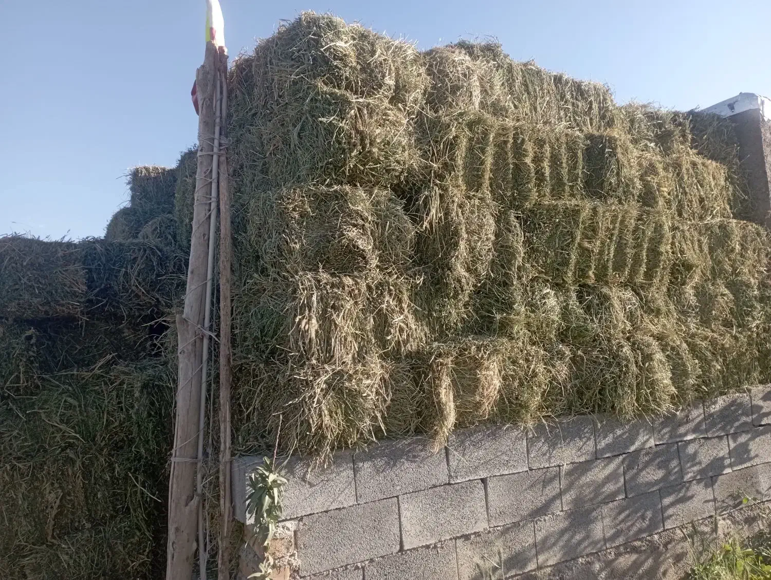 پرس خشک درجه یک|خدمات باغبانی و درختکاری|گلپایگان, |دیوار