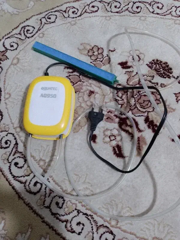 پمپ هوا آکواریوم|ماهی|قم, نیروگاه|دیوار