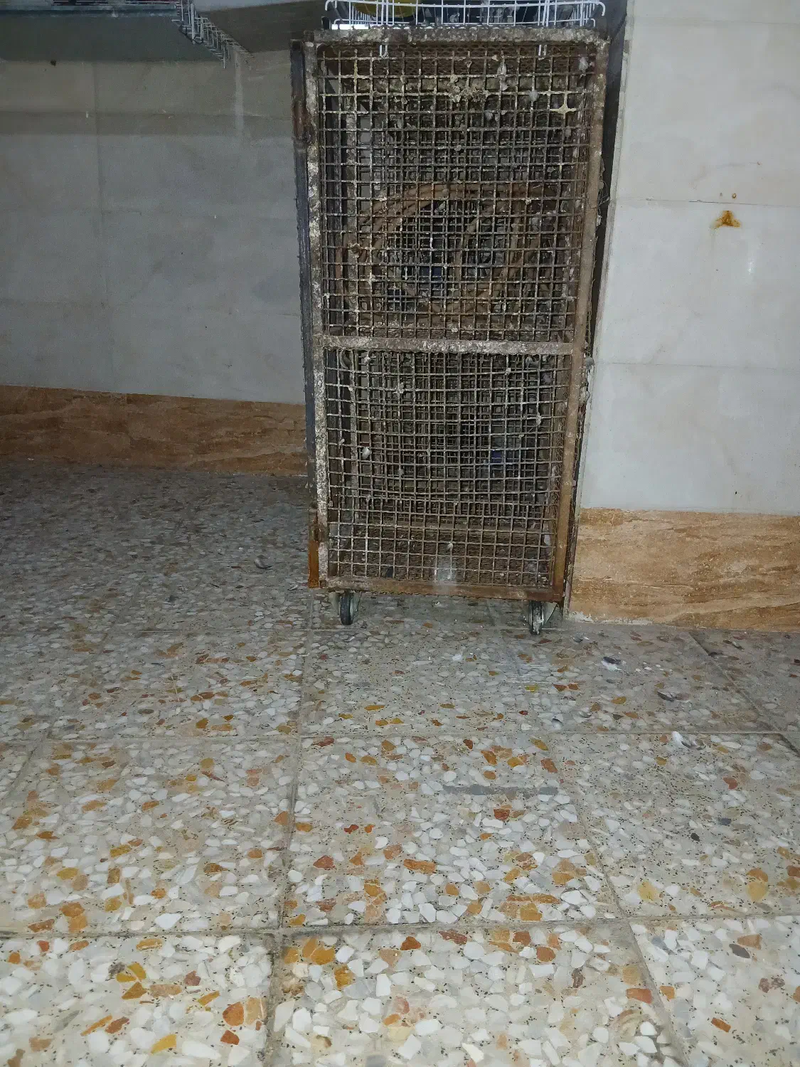 قفس|لوازم جانبی حیوانات|اهواز, کوی طلاب|دیوار