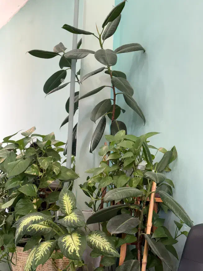 ادمین حرفه ای|خدمات آرایشگری و زیبایی|صدرا-فارس, فاز ۱|دیوار