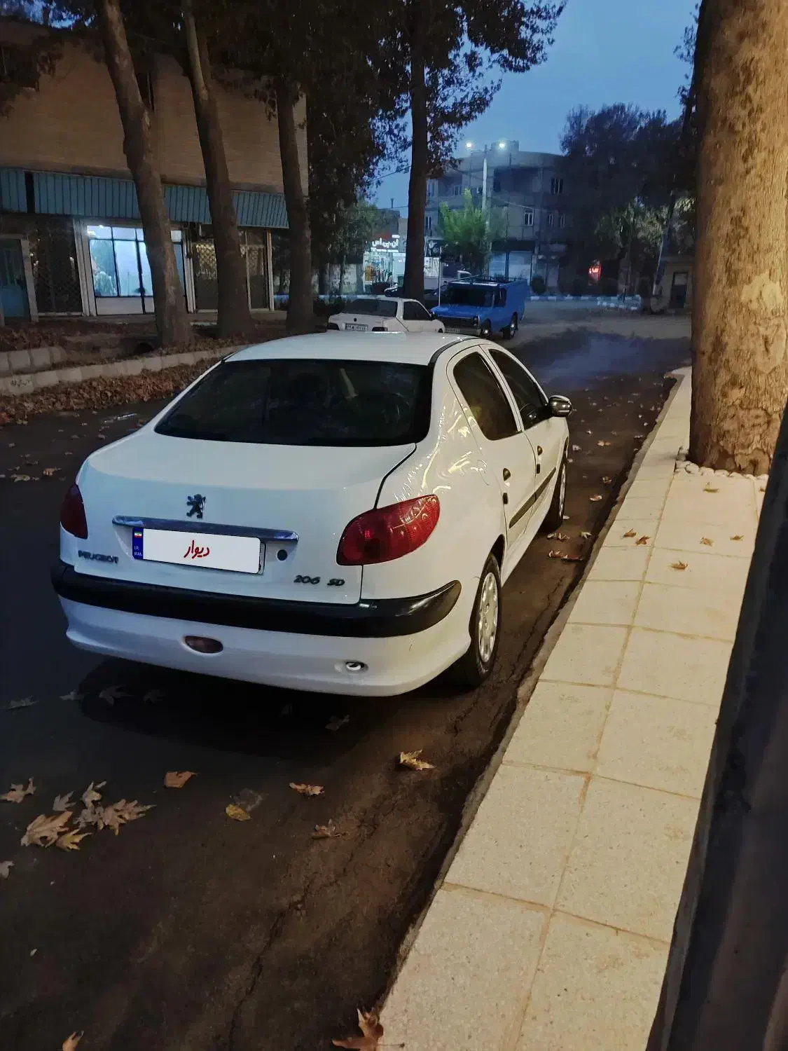 ۲۰۶ اس دی V 20 مدل ۸۹|خودرو سواری و وانت|رامجین, |دیوار